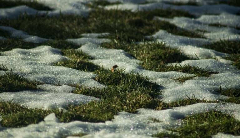 Tako visoko so se temperature povzpele danes, čaka nas sončen zaključek meteorološke zime