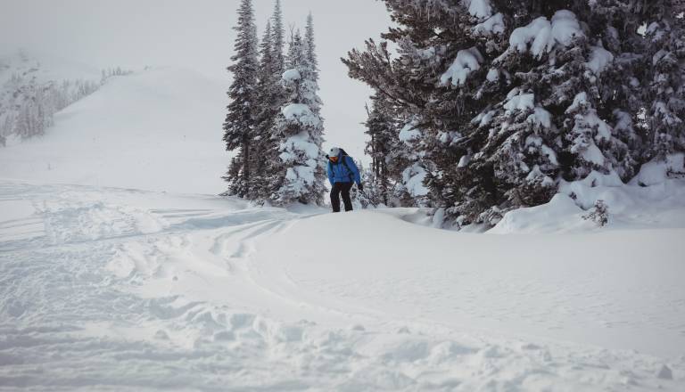 Sankača trčila v 72-letno pohodnico in pobegnila, policija išče očividce nesreče 
