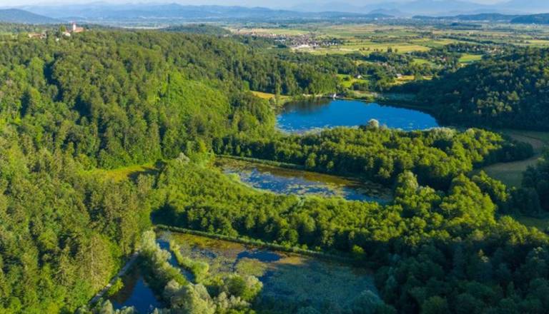 Velika obnova v Krajinskem parku Ljubljansko barje