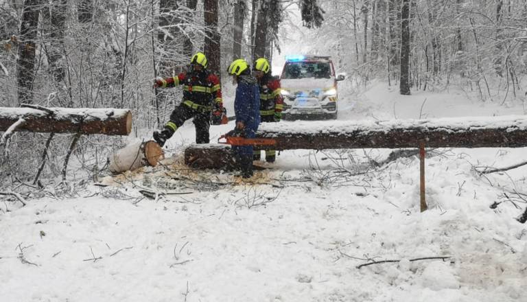 Snegolom na območju Spodnjega Podravja: Največ škode v gozdovih v Halozah in Slovenskih goricah