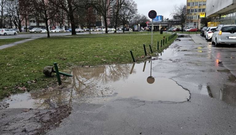 V Šiški so podrli količke in parkirali na zelenici