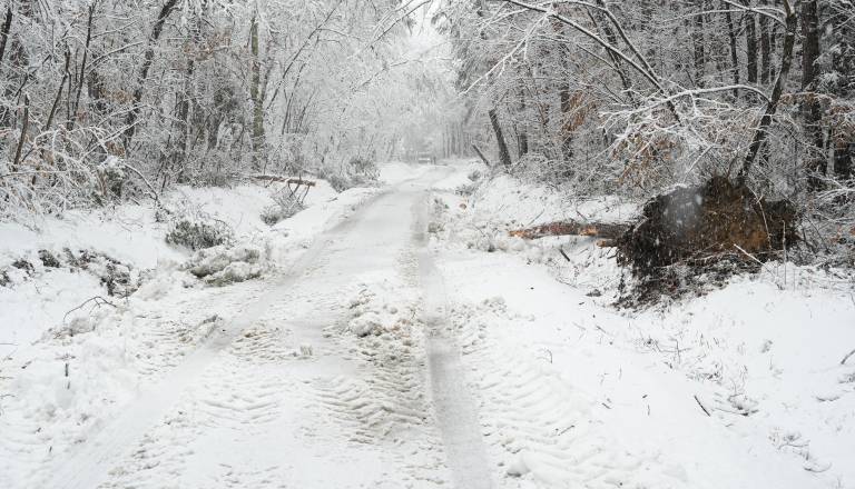 Opravičilo pomurskega župana zaradi težav pri pluženju 