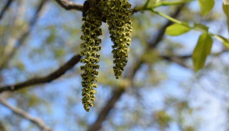 Temperature do 18 stopinj Celzija, a dnevi ne bodo za vse brezskrbni