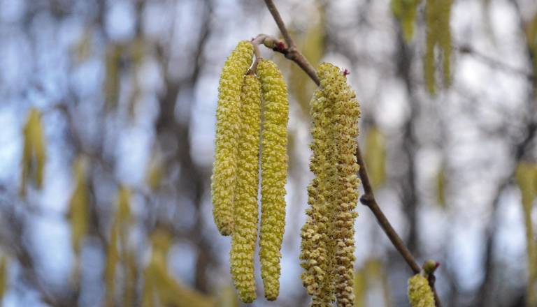 Pred nami so pomladne temperature, a dnevi ne bodo za vse brezskrbni