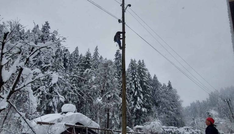 Odziv para iz Štajerske, ki ni dovolil dostopa delavcem Elektra Maribor: »Postala sva predmet linča«