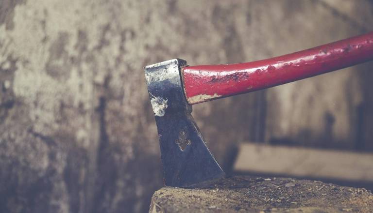 Krvav sosedski obračun: S sekiro mu je razbil glavo, obsojen na tri leta zapora