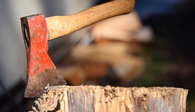 Krvav sosedski obračun: S sekiro mu je razbil glavo, zdaj gre v zapor