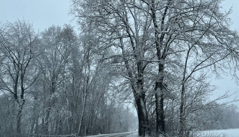 Odziv para, ki ni dovolil dostopa delavcem Elektra Maribor: »Zadevo smo rešili v petih minutah«