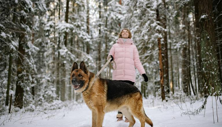 Dom v Tamarju ogorčen nad nekaterimi obiskovalci: »A vi to resno!?« 