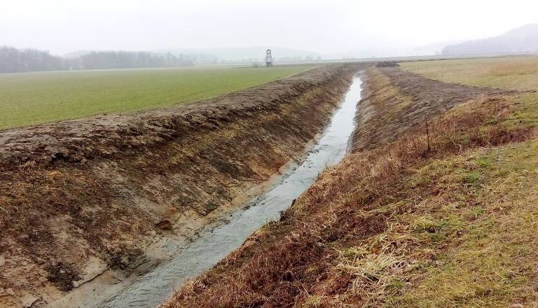 Lovska zveza Slovenije opozarja: Čiščenje vodotokov siromaši življenjski prostor divjadi