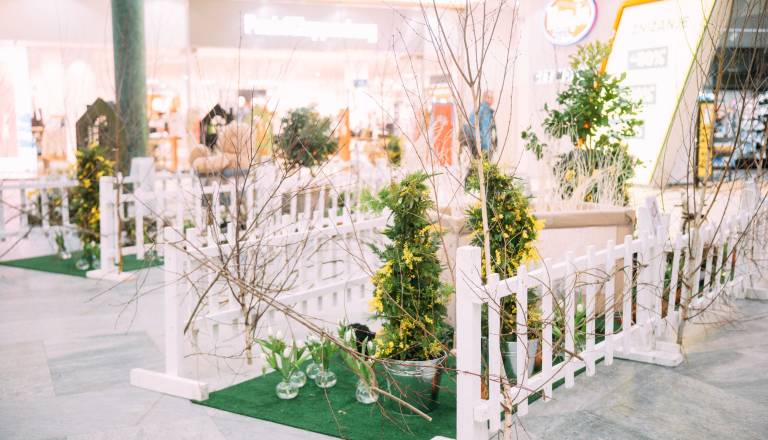 Europark je v prvi polovici februarja postal najimenitnejša cvetličarna v Sloveniji