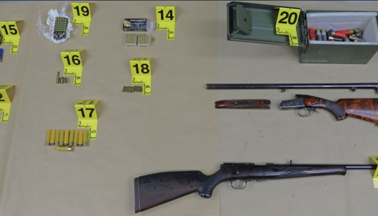 Po koncu nekaznovane predaje orožja: kaj in koliko so ga predali na Dolenjskem?