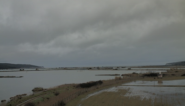 Visoka plima presenetila slovensko obalo, sprožili tudi sireno