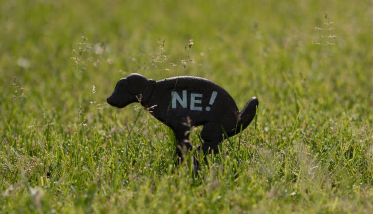V štajerski občini imajo dovolj neodgovornega ravnanja, na teren pošiljajo redarje