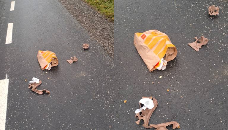 Bralec ogorčen nad odpadki na območju Noršinske ulice: »Od olupkov banan, do pločevink, plastenk in embalaž«