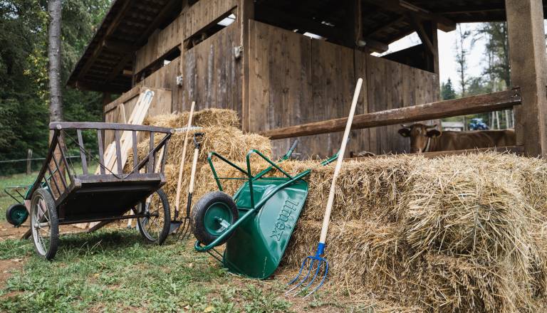 Ta znana Štajerka popestrila dogajanje v Kmetiji