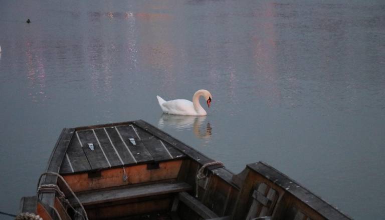 Zahod Slovenije pod obilnim dežjem, v gorah zapadlo veliko snega