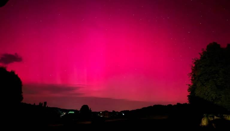 Severni sij morda viden tudi pri nas