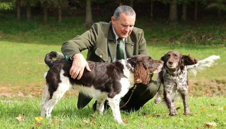 Dolenjskemu kandidatu za poslanca Romi ukradli orožje