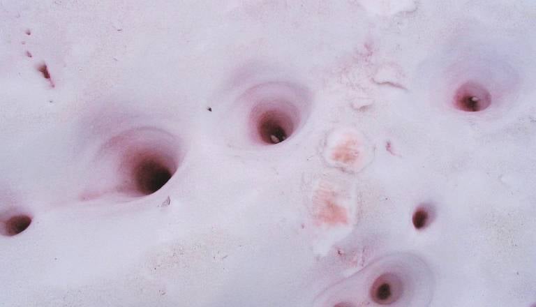 Nenavadno in srhljivo: Nemčijo bi lahko prekril krvavi sneg