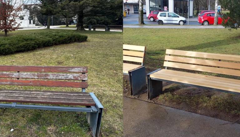 Klopi na Trgu zmage v slabem stanju, sledi zamenjava lesa