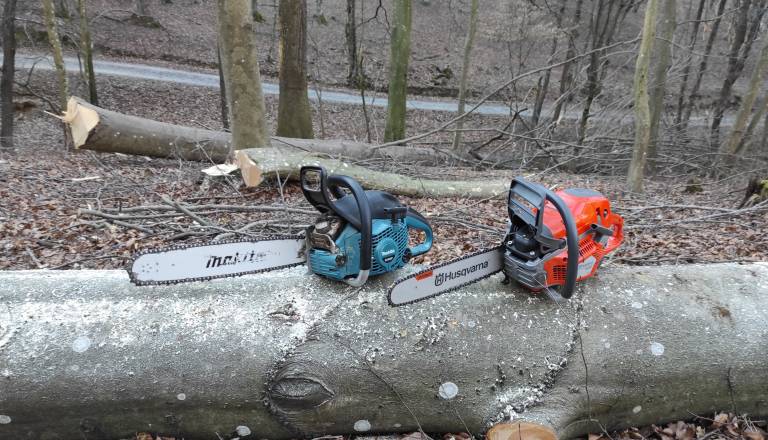 Tragična nesreča pri delu, gozdovi vzeli še eno življenje