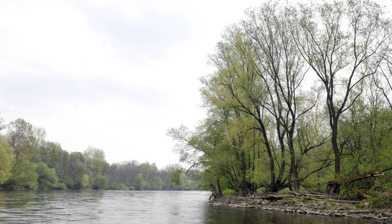 Prizor, ki šokira vsakega: med sprehodom ob reki opazili truplo