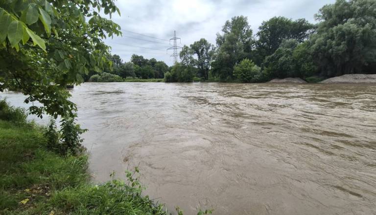 Sprehajalci v reki Muri opazili truplo ženske