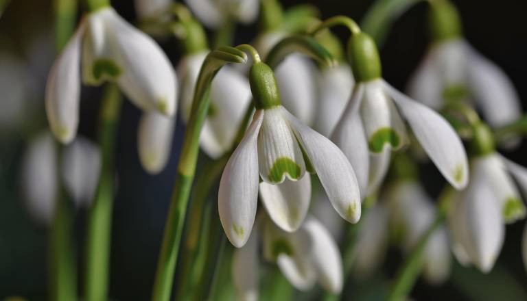 Topel začetek meteorološke pomladi, a previdno pred pozebo