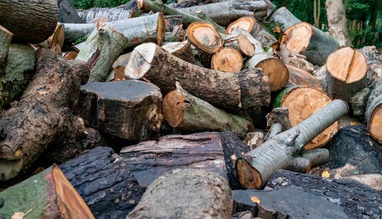 Tragedija v Pomurju, med nalaganjem hlodovine utrpel hude poškodbe, umrl v bolnišnici