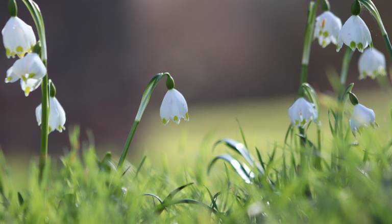 Danes še sončno, jutri pa preobrat