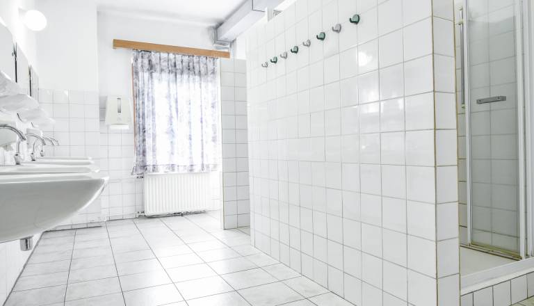 Na Bled prihaja Jankovićev ljubljanski projekt: 3,5 milijona evrov za prenovo doma