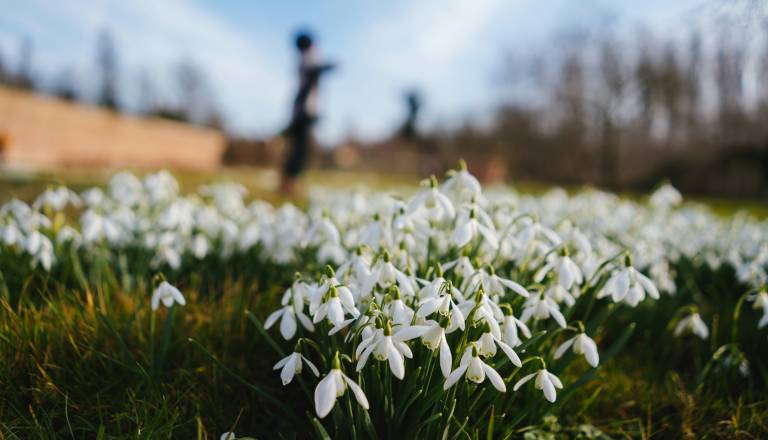 Kdaj nastopi prvi pomladni dan in pomladno enakonočje? To je točen datum in ura