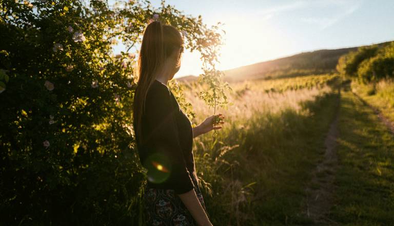 Dvojčki bodo razpeti med kariero in prijatelji, raki pa bodo spoznali nevarno plat strahu v ljubezni