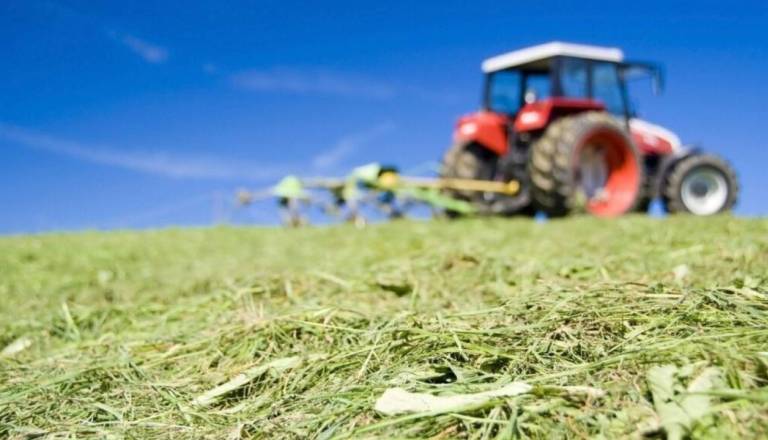 Podrobnosti tragedije pri Logatcu, do nesreče prišlo pri vleki hlodovine