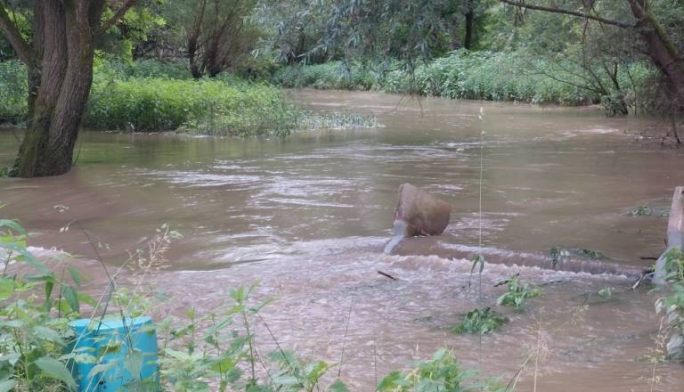 Obnova po poplavah: Kdo bo dobil pomoč države?
