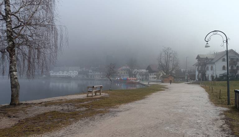 Po javni kritiki občana se je oglasil župan Bleda: Kaj pravi o prometu in cestah?