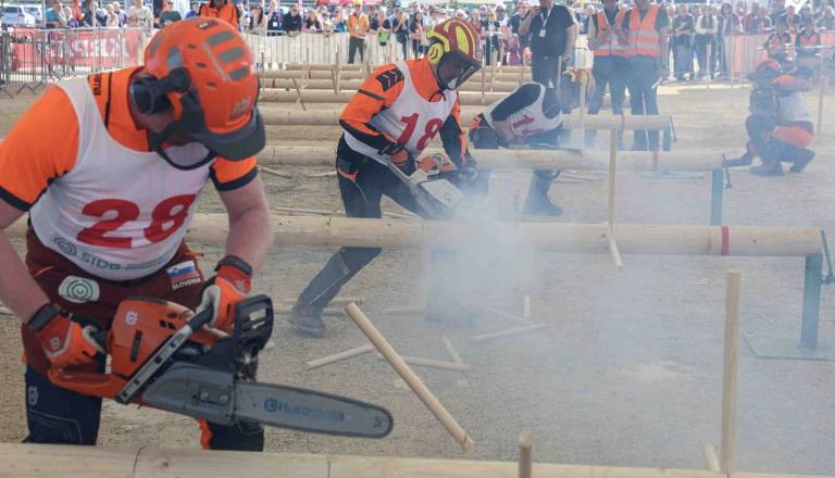Kam ta konec tedna? Na Dolenjskem svetovno gozdarsko prvenstvo in številni koncerti