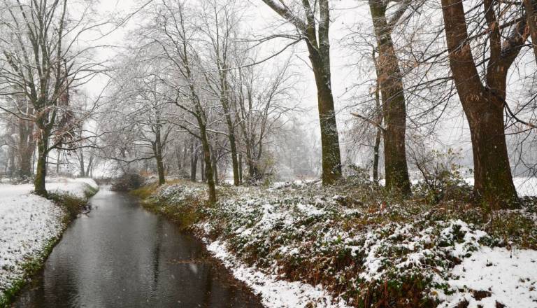 Zima še ni rekla zadnje? Meteorologi napovedujejo vremenski preobrat, možna tudi sneg in sodra