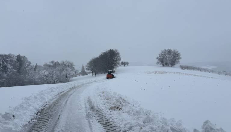 Po pomladnem začetku marca prihaja vremenski preobrat, možen tudi sneg in sodra