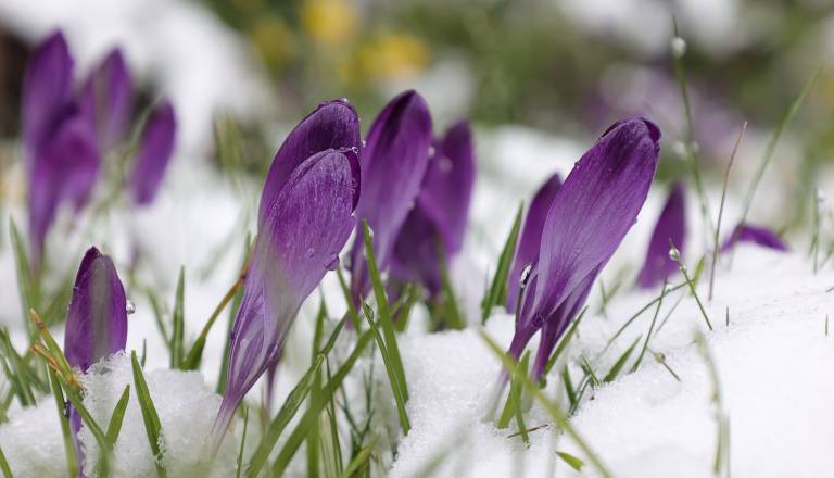 Po toplih dneh vremenski šok: Nad Slovenijo prihaja hladnejša zračna masa