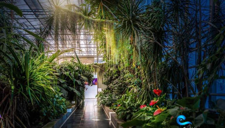 »Powered by Earth and Sun« in o ljubezni do cvetja iz srca Prekmurja