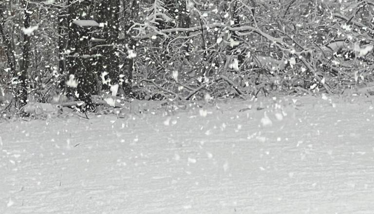 Prihaja vremenski preobrat, možnost snega in sodre