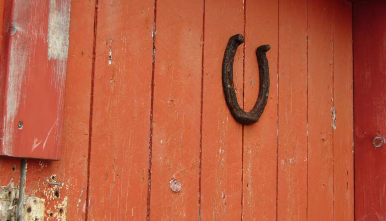 Vraževerje tokrat odpade, petek 13. bo tem znamenjem prinesel srečo