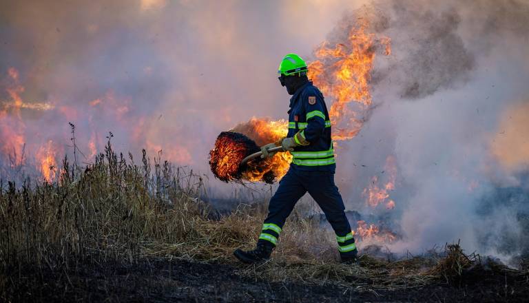 V Šturmovcih izbruhnil požar podrastja, posredovali gasilci