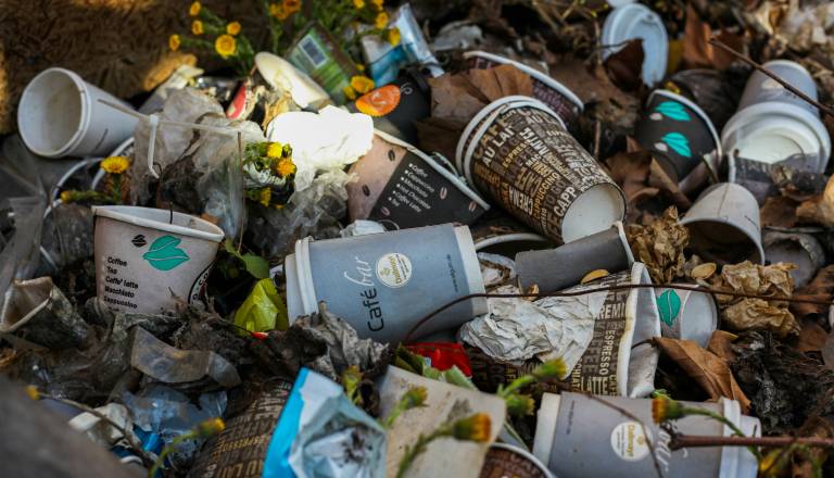 Inšpekcijski nadzor razočarali Dolenjci in Belokranjci. To počnejo narobe