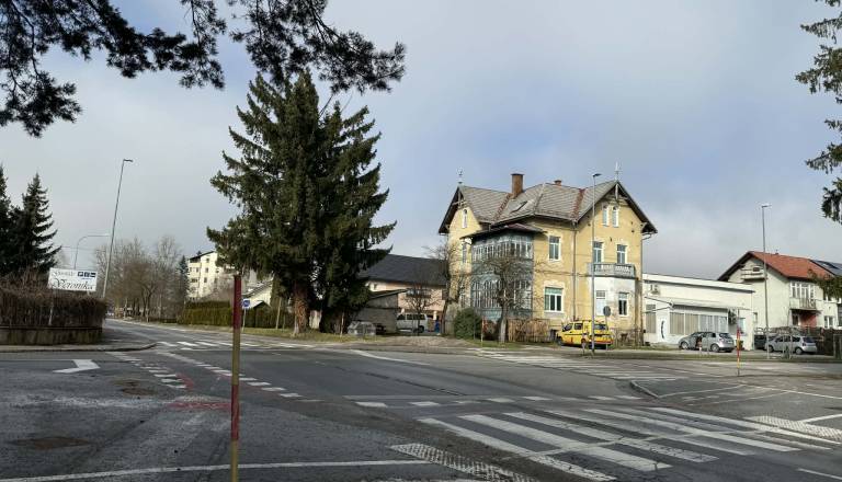 Policisti med tatvino v Kočevju zasačili 19-letnika in mladoletnika