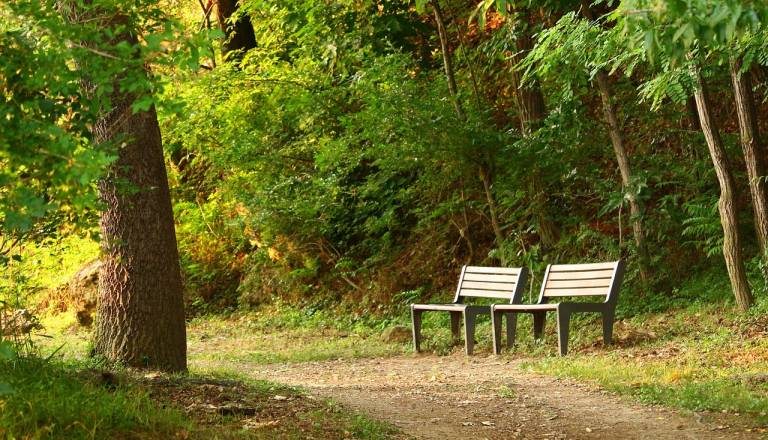V Mestnem parku Ormož stekla druga faza ureditve poti, uporaba omejena