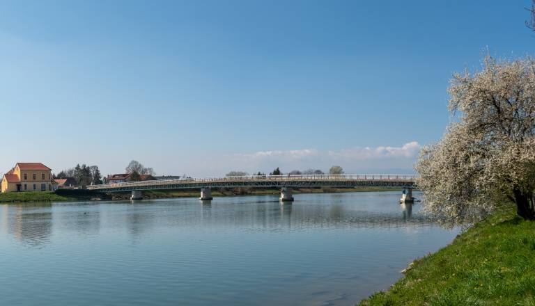 Bo Ptuj spet na stranskem tiru? Stranke o vlogi države in razvoju regije
