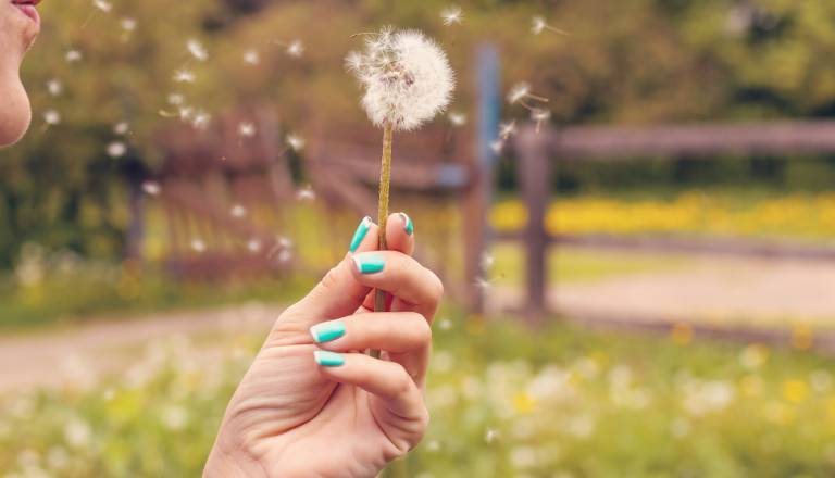 V zraku nadpovprečne količine cvetnega prahu, na to opozarjajo strokovnjaki